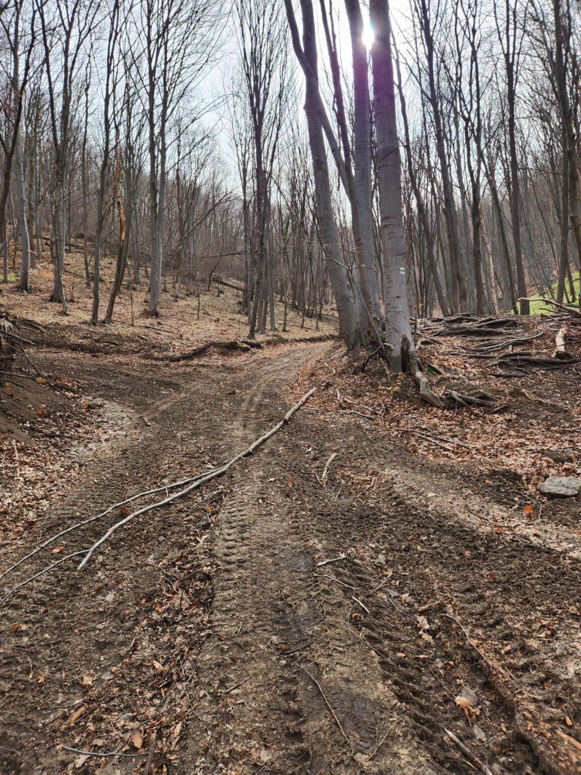 Esperanto Eco Trail to Bankya – A Half-Day Escape from Sofia