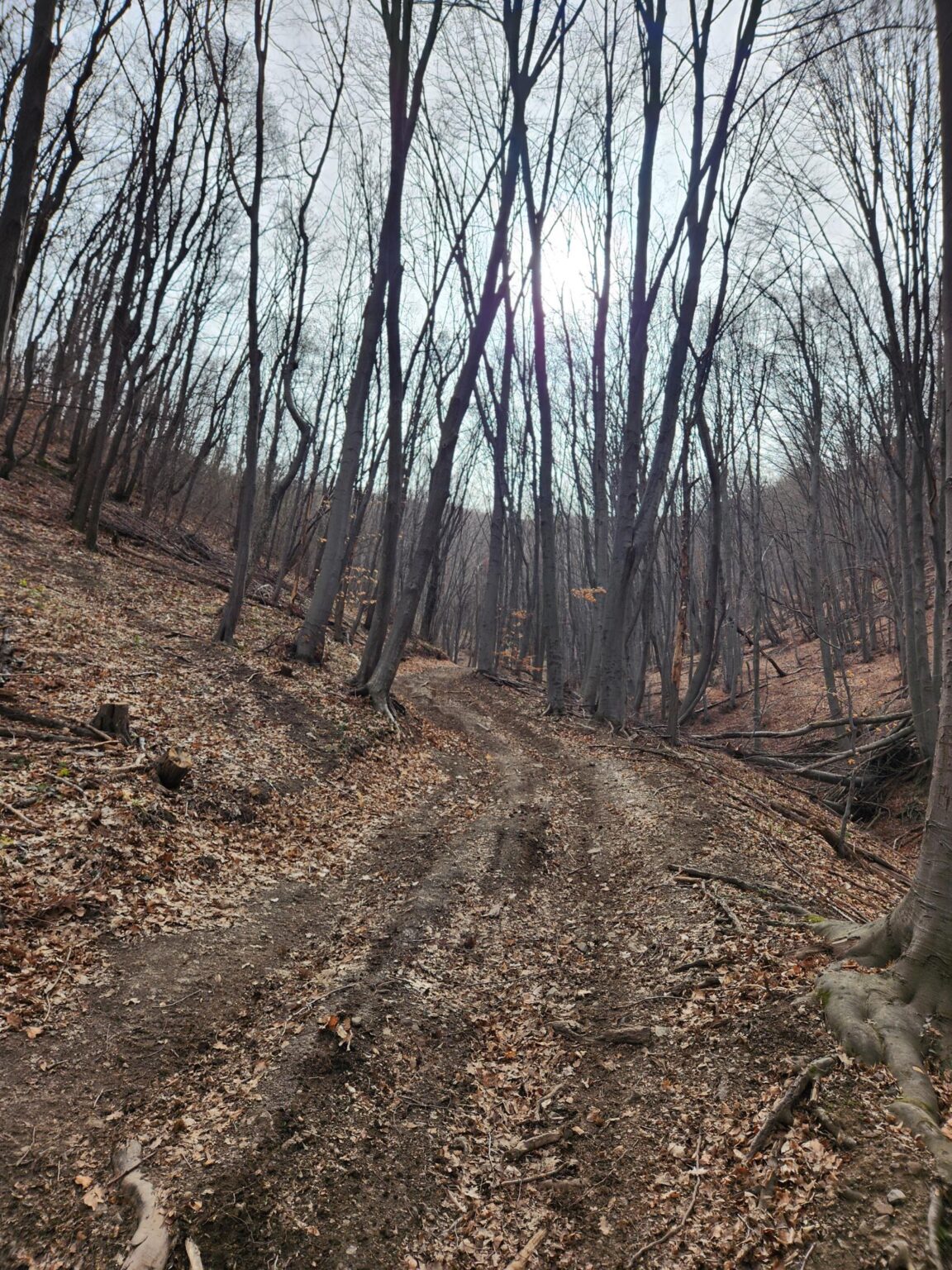 Esperanto Eco Trail to Bankya – A Half-Day Escape from Sofia