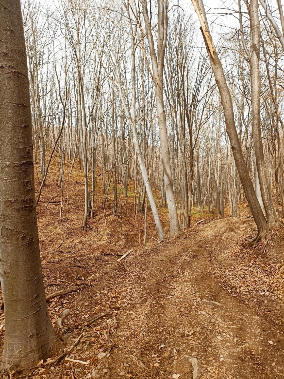 Esperanto Eco Trail to Bankya – A Half-Day Escape from Sofia