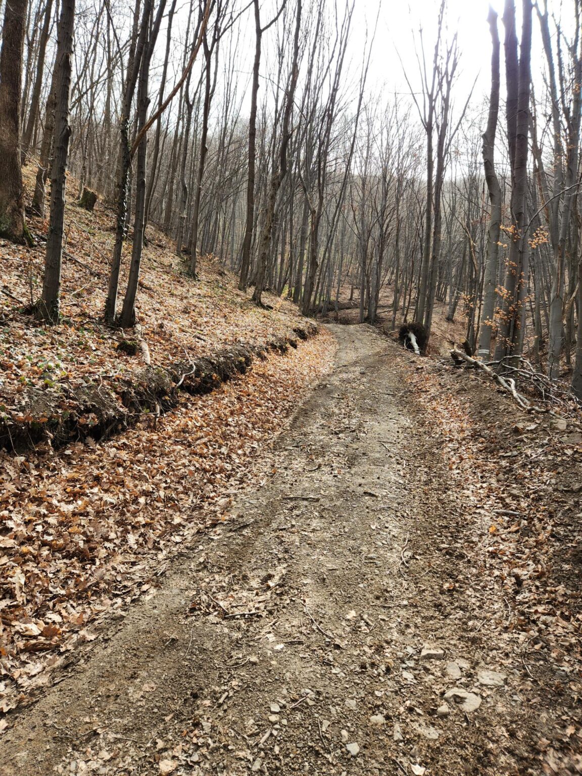 Esperanto Eco Trail to Bankya – A Half-Day Escape from Sofia