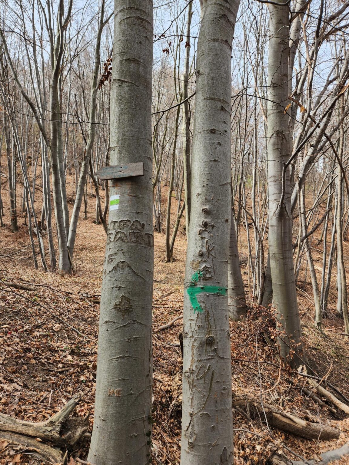 Esperanto Eco Trail to Bankya – A Half-Day Escape from Sofia