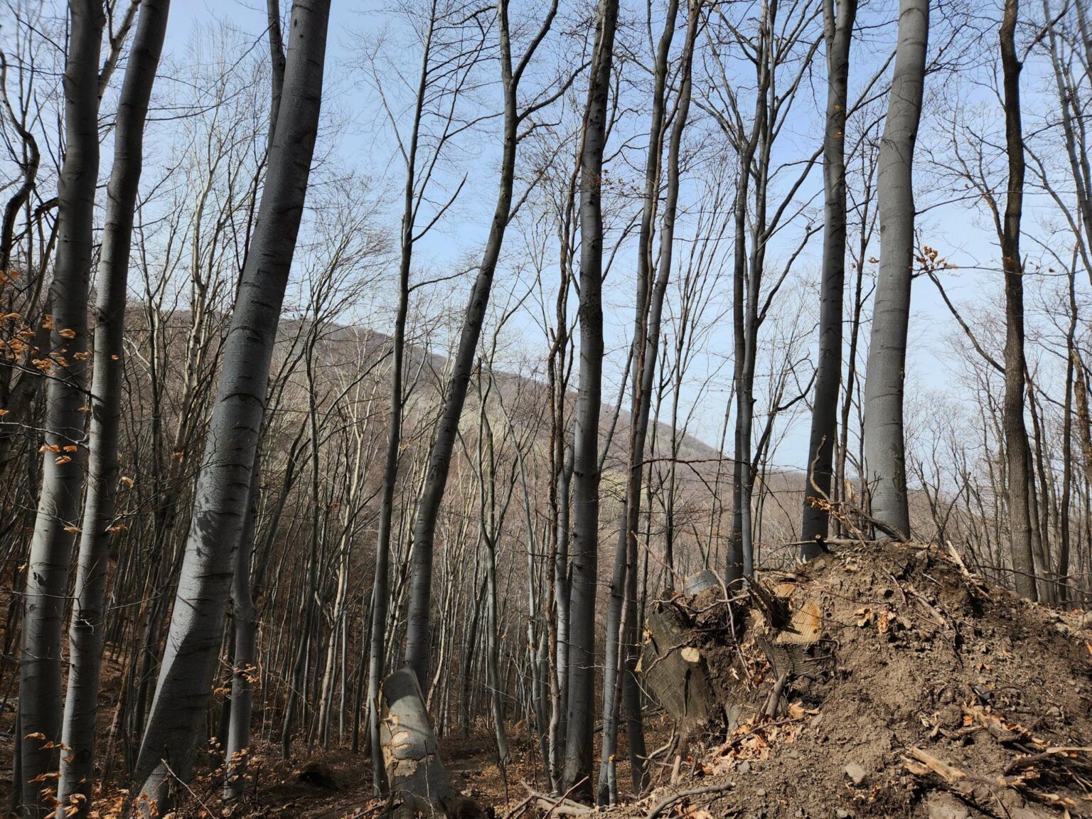 Esperanto Eco Trail to Bankya – A Half-Day Escape from Sofia
