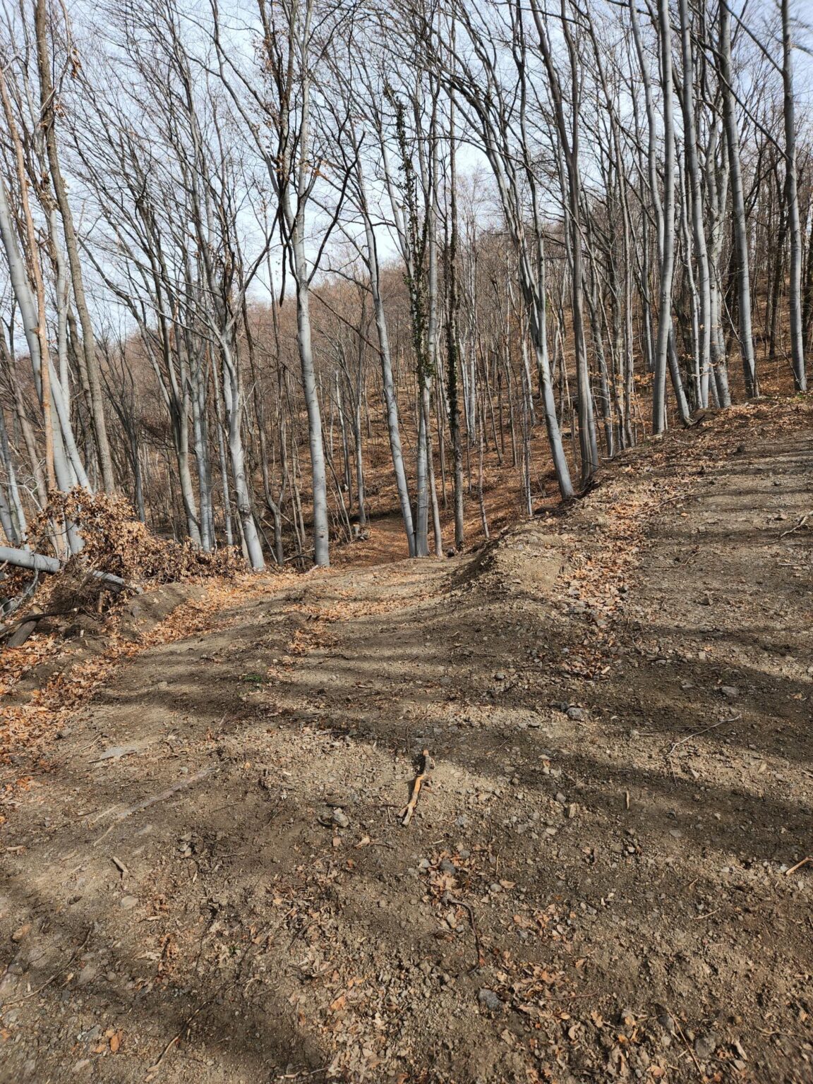 Esperanto Eco Trail to Bankya – A Half-Day Escape from Sofia