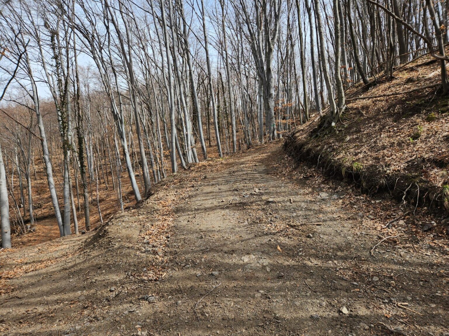 Esperanto Eco Trail to Bankya – A Half-Day Escape from Sofia