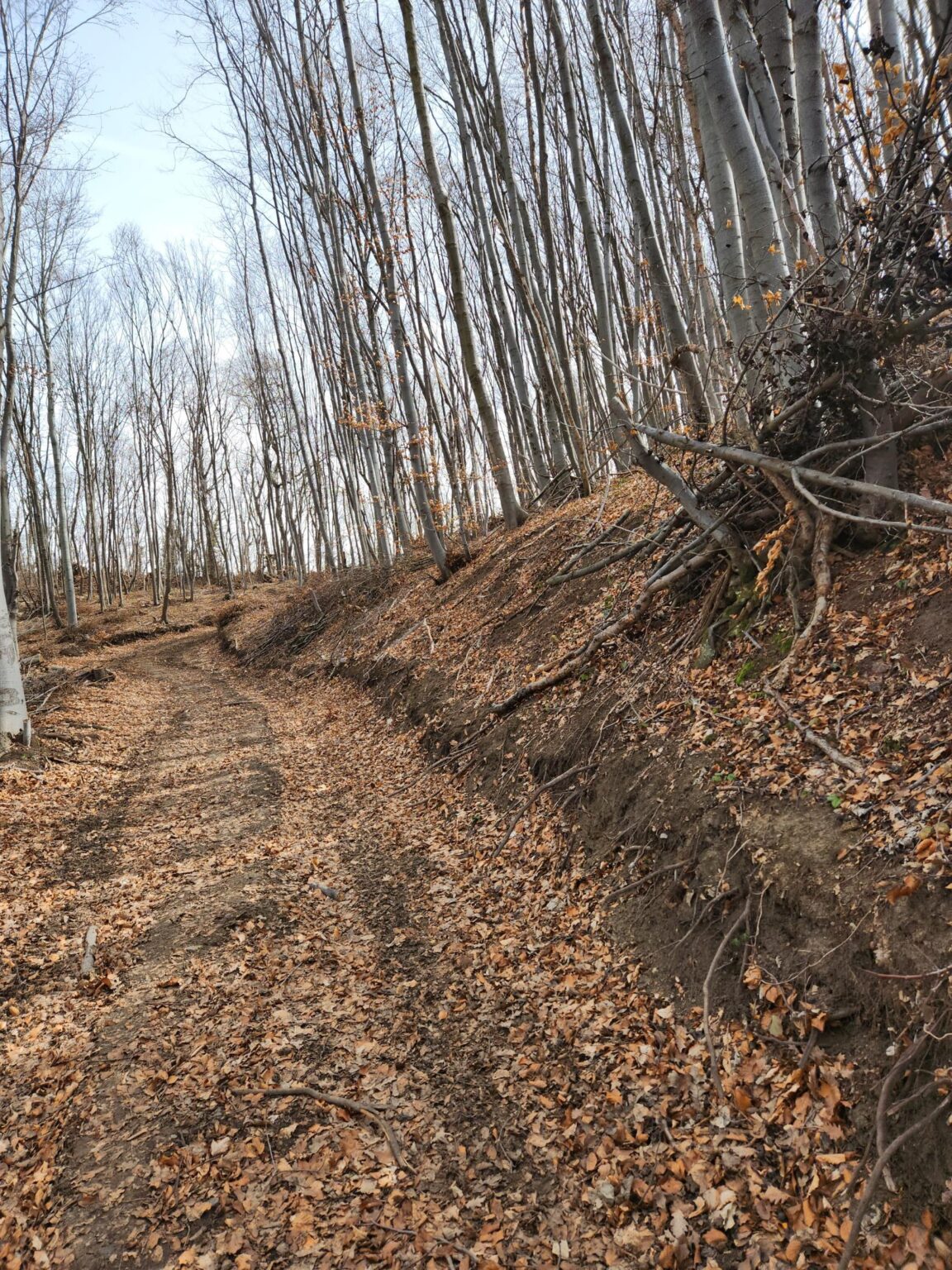 Esperanto Eco Trail to Bankya – A Half-Day Escape from Sofia