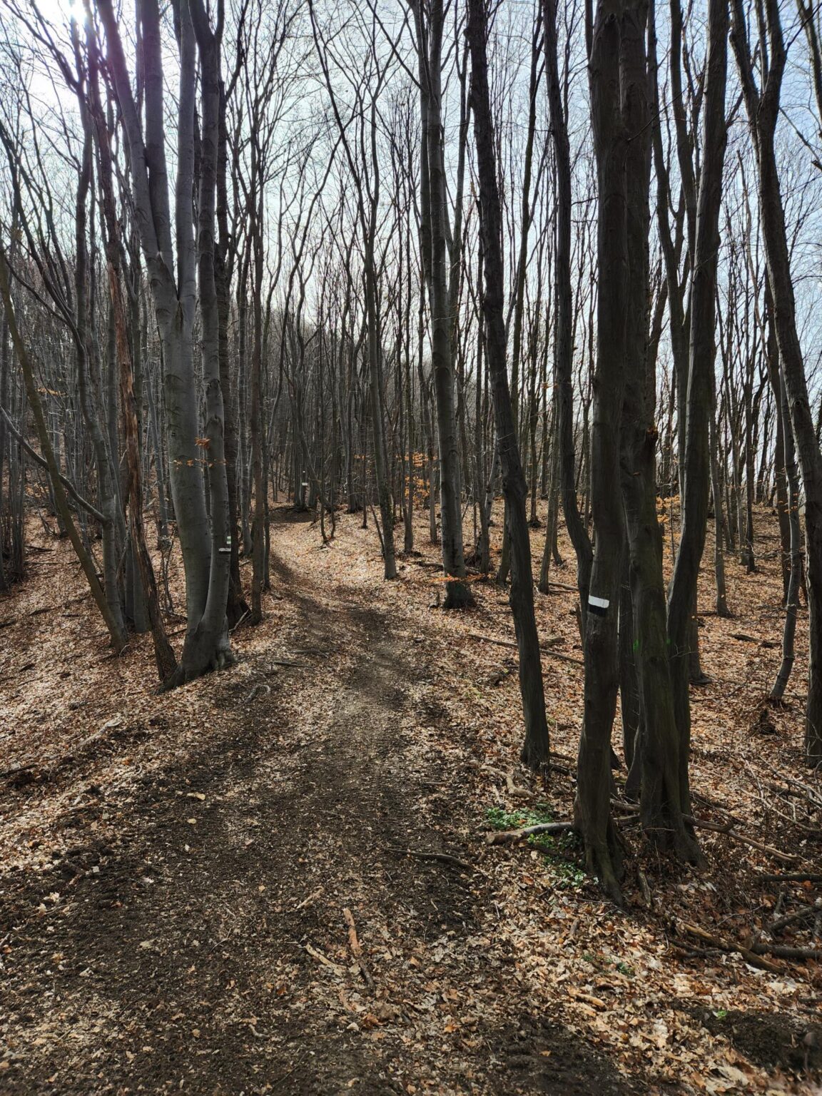 Esperanto Eco Trail to Bankya – A Half-Day Escape from Sofia