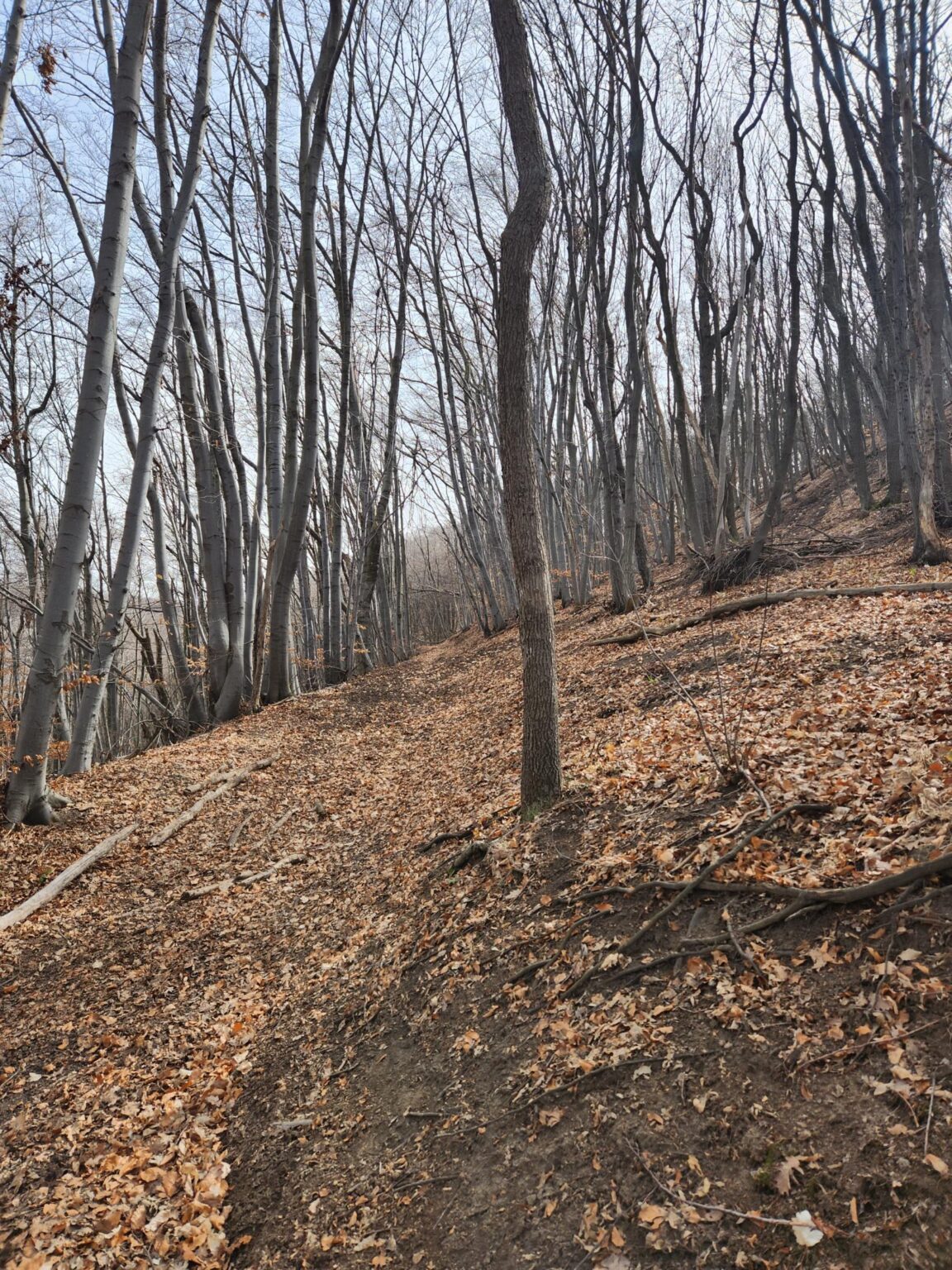 Esperanto Eco Trail to Bankya – A Half-Day Escape from Sofia