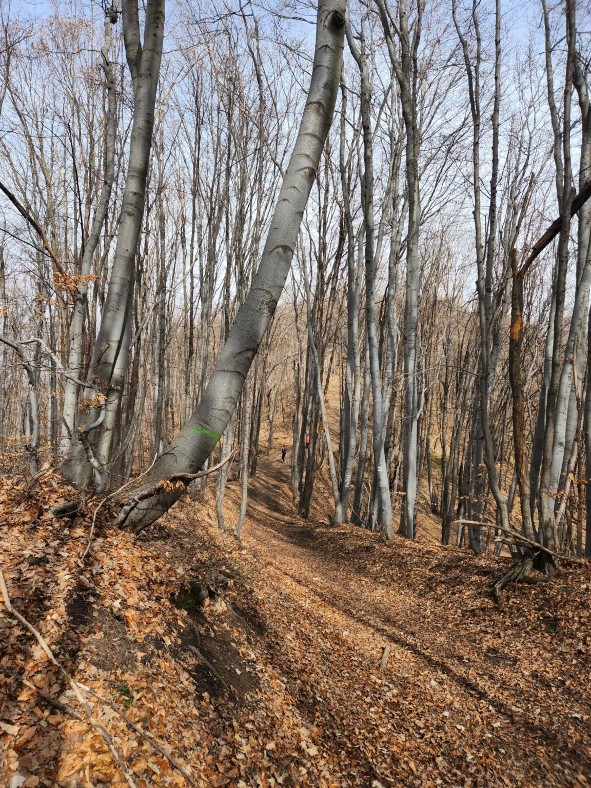 Esperanto Eco Trail to Bankya – A Half-Day Escape from Sofia