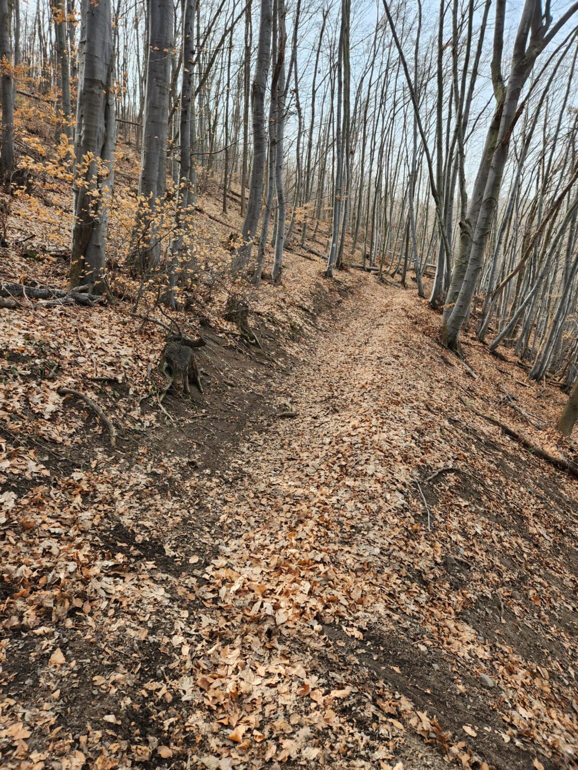 Esperanto Eco Trail to Bankya – A Half-Day Escape from Sofia