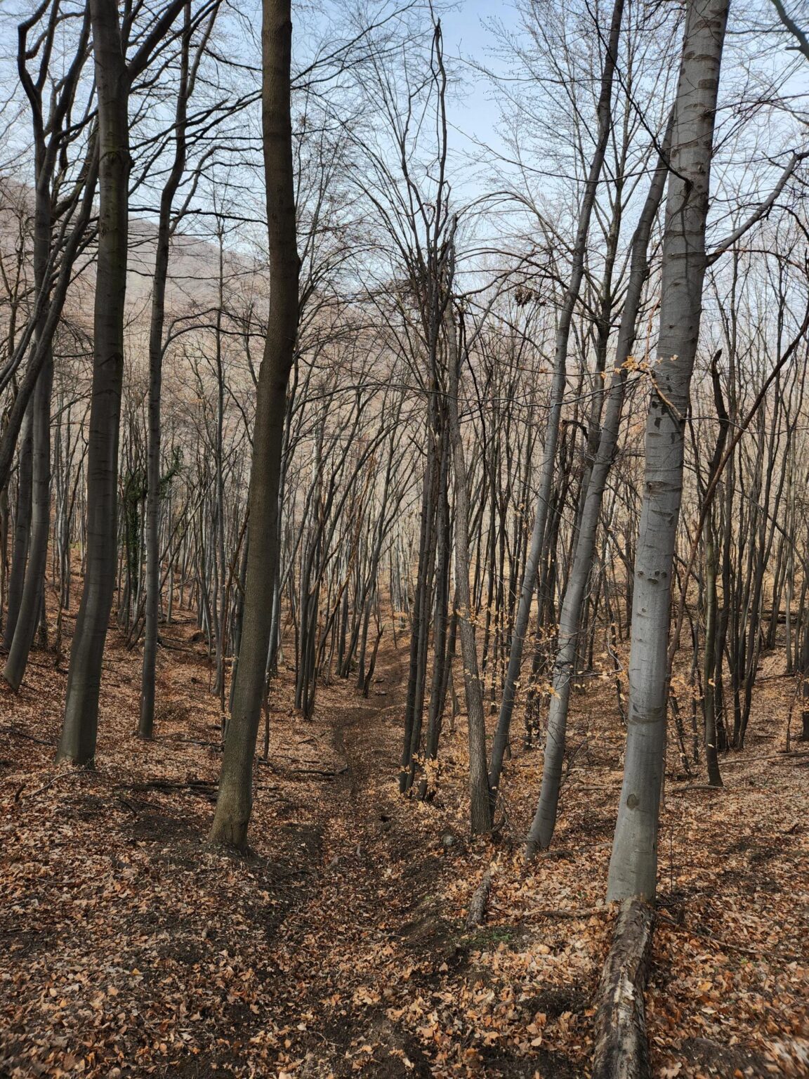 Esperanto Eco Trail to Bankya – A Half-Day Escape from Sofia