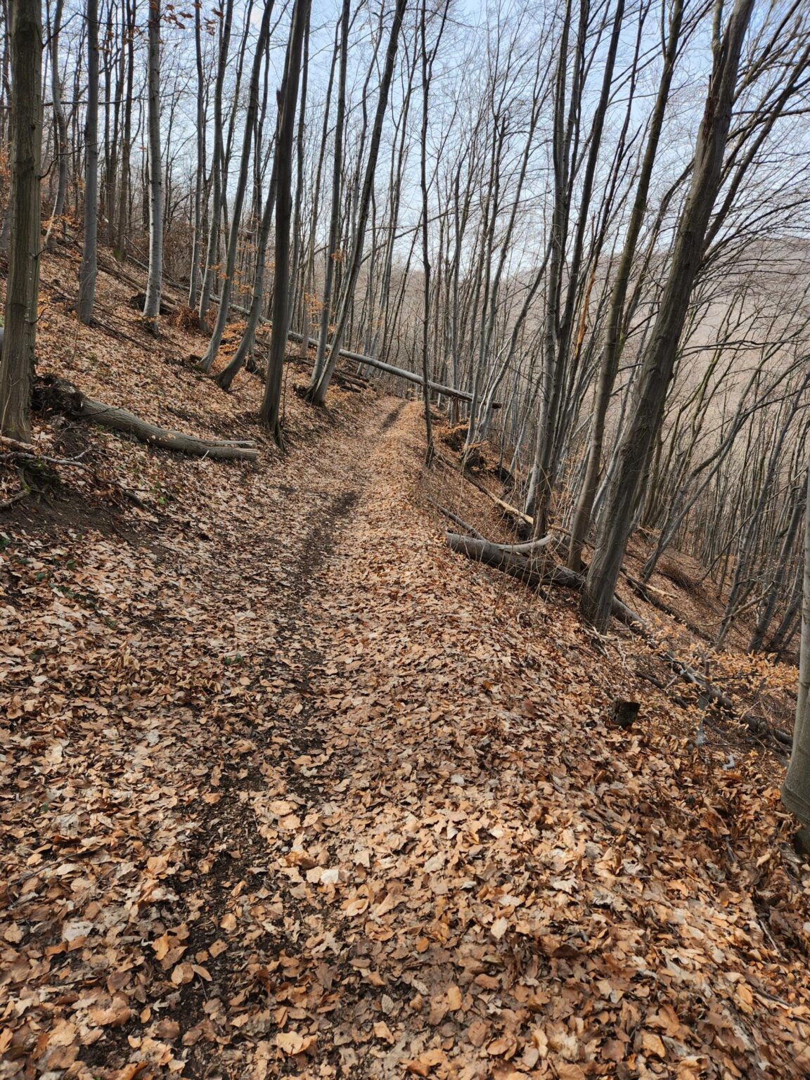 Esperanto Eco Trail to Bankya – A Half-Day Escape from Sofia