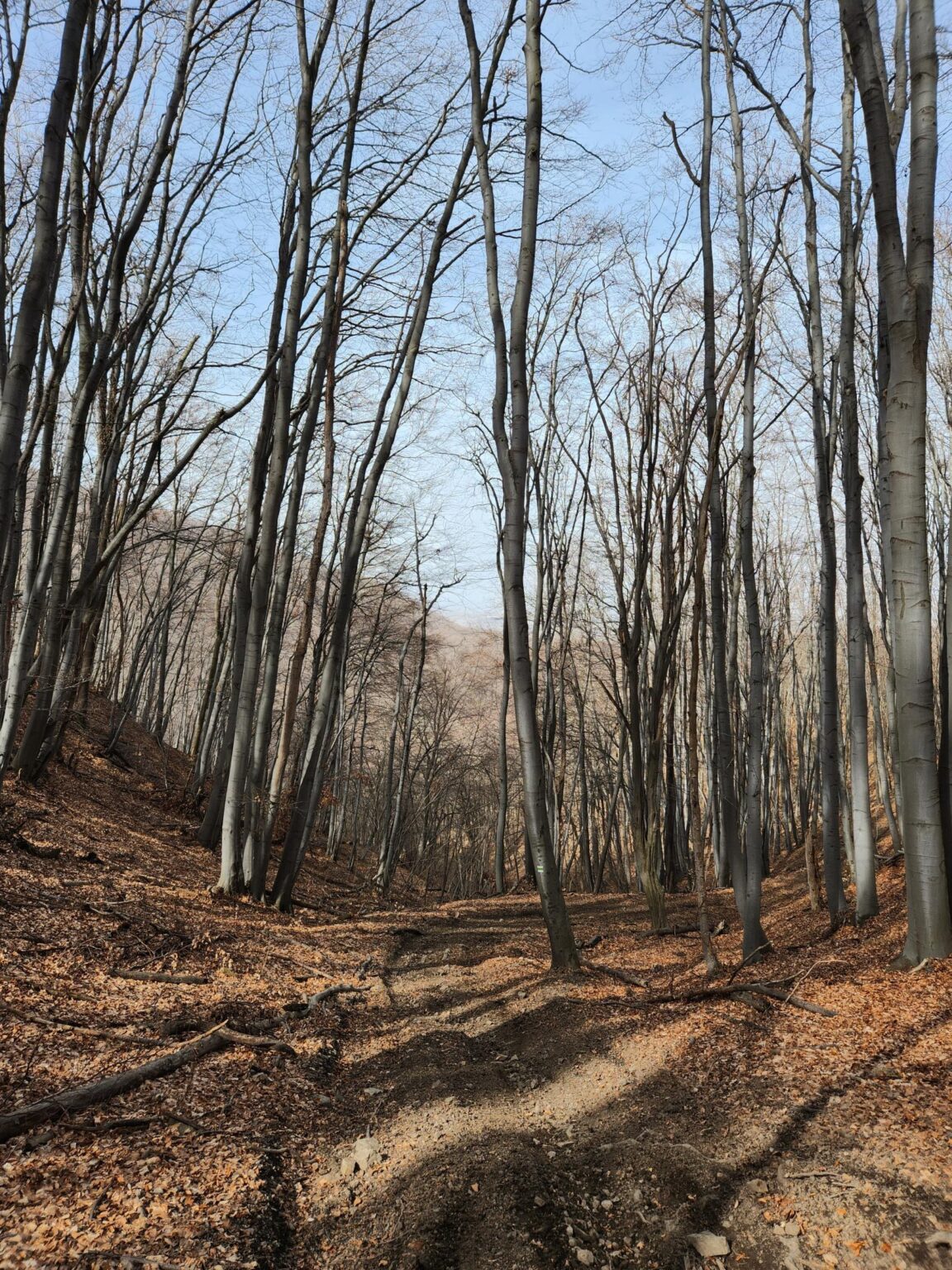 Esperanto Eco Trail to Bankya – A Half-Day Escape from Sofia