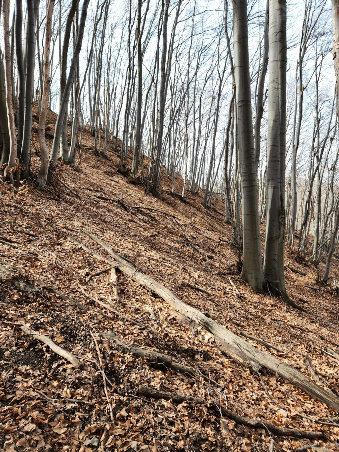 Esperanto Eco Trail to Bankya – A Half-Day Escape from Sofia