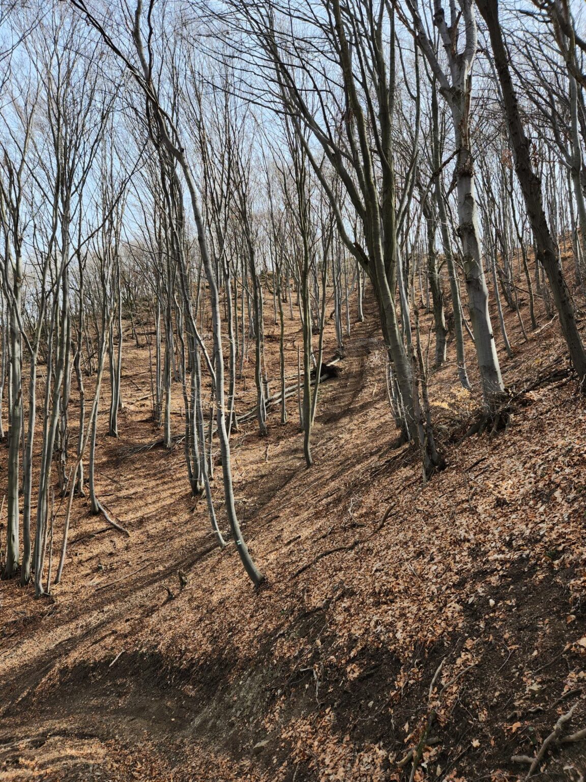 Esperanto Eco Trail to Bankya – A Half-Day Escape from Sofia