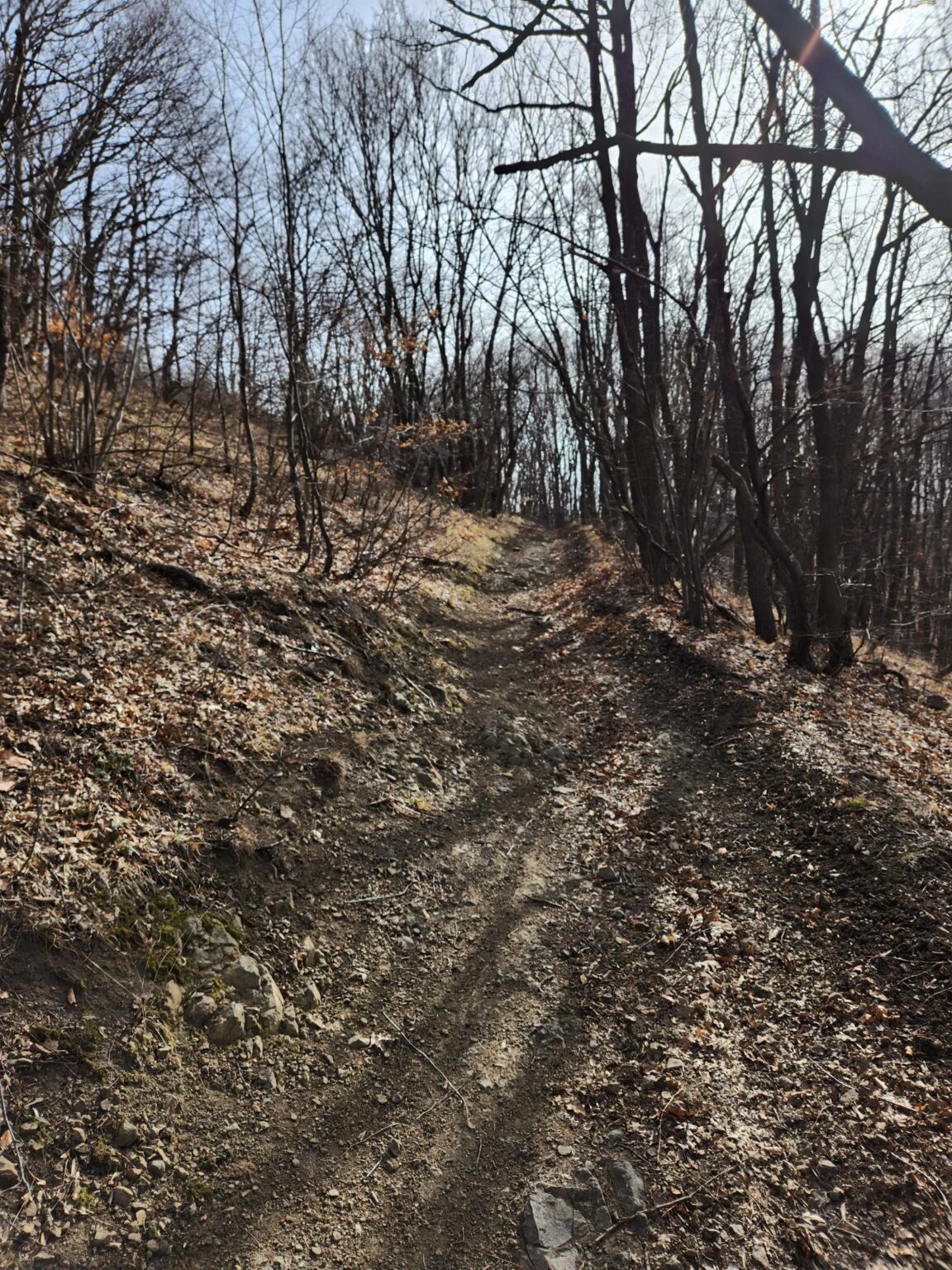 Esperanto Eco Trail to Bankya – A Half-Day Escape from Sofia