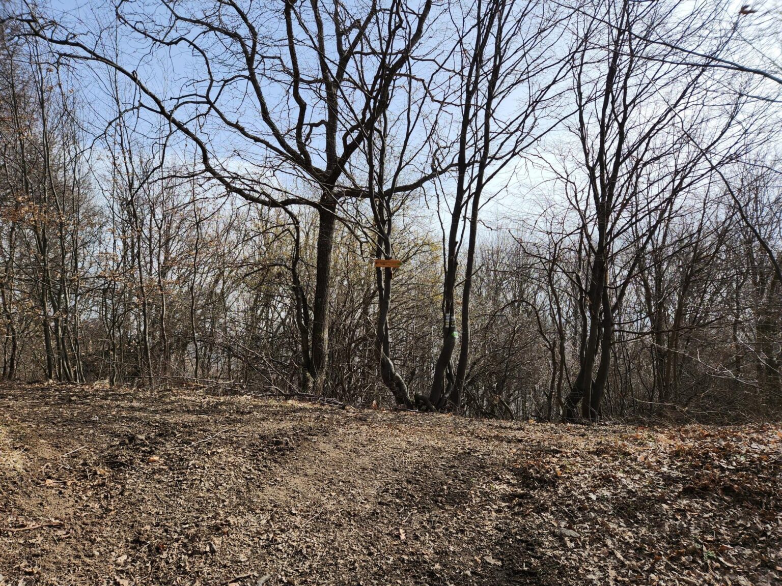 Esperanto Eco Trail to Bankya – A Half-Day Escape from Sofia