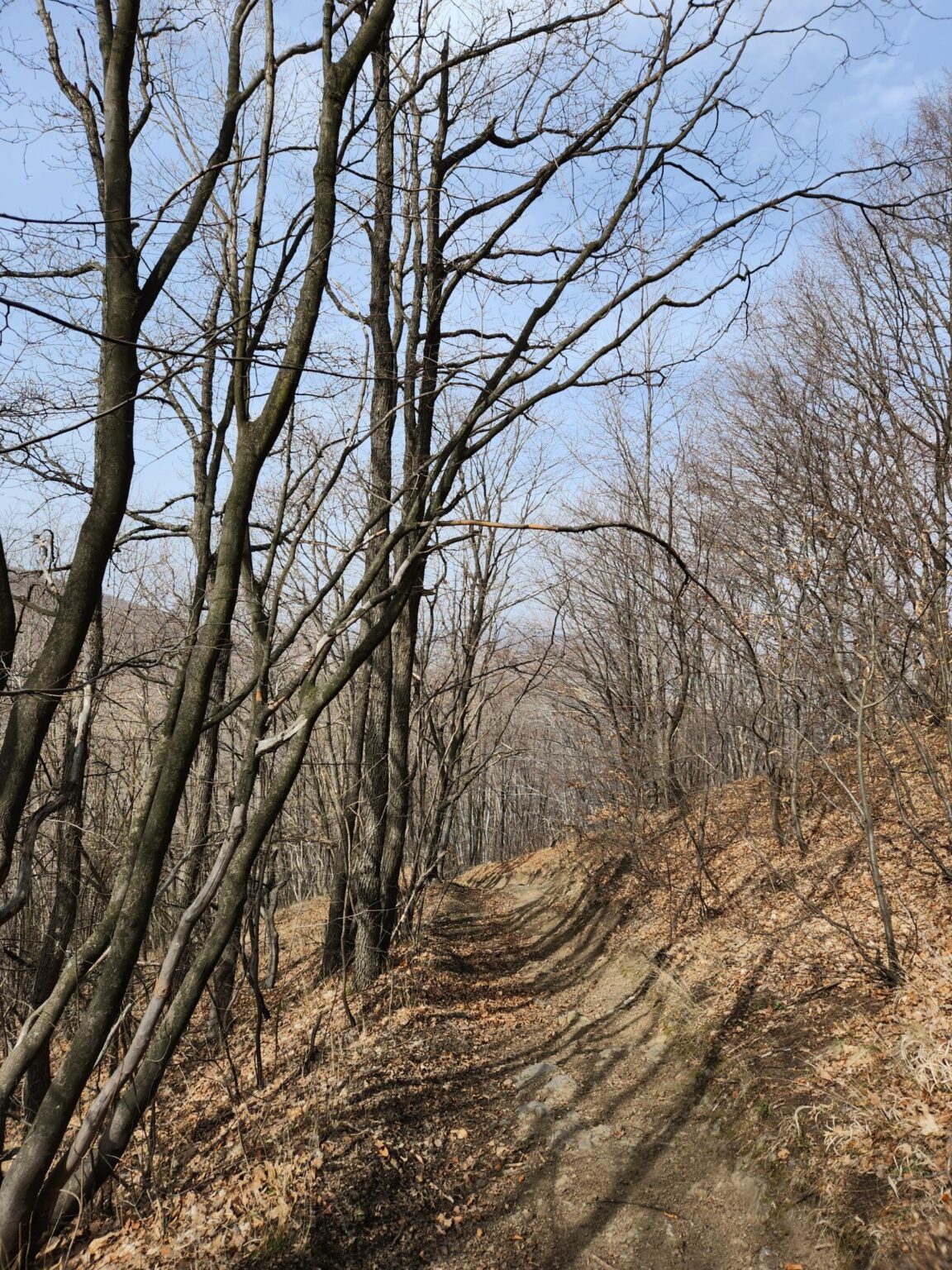 Esperanto Eco Trail to Bankya – A Half-Day Escape from Sofia