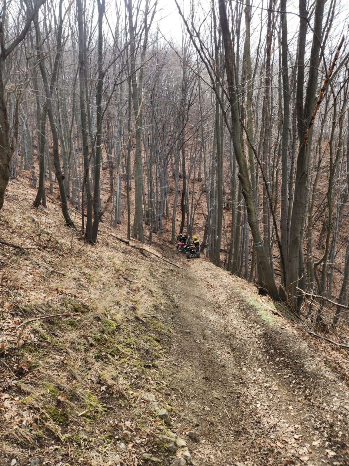 Esperanto Eco Trail to Bankya – A Half-Day Escape from Sofia