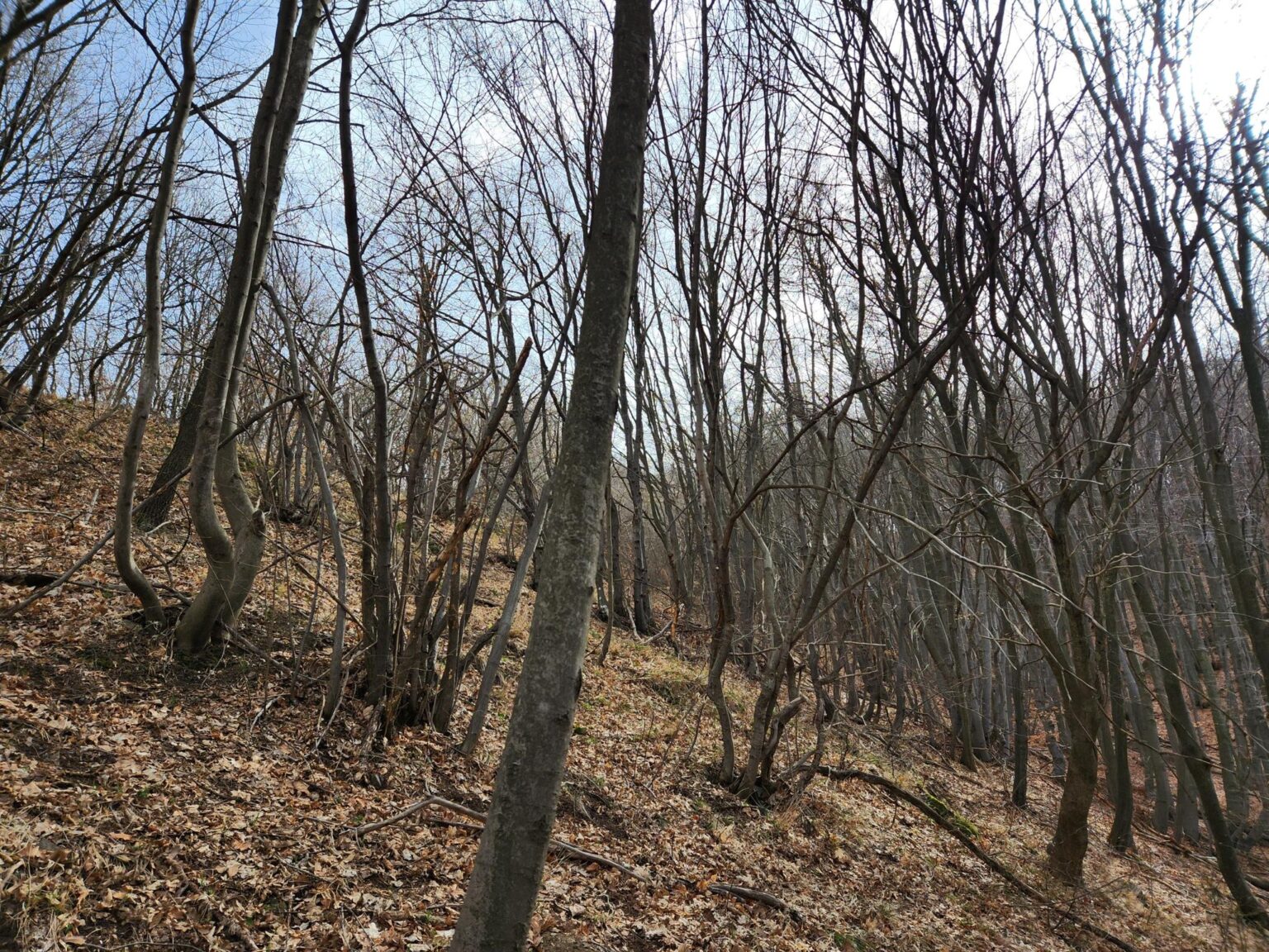 Esperanto Eco Trail to Bankya – A Half-Day Escape from Sofia