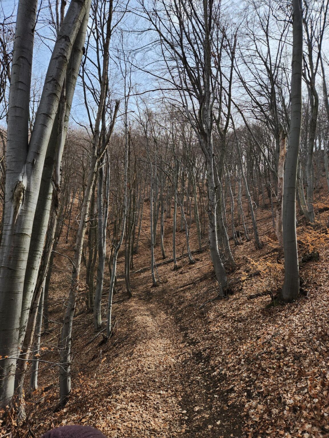 Esperanto Eco Trail to Bankya – A Half-Day Escape from Sofia