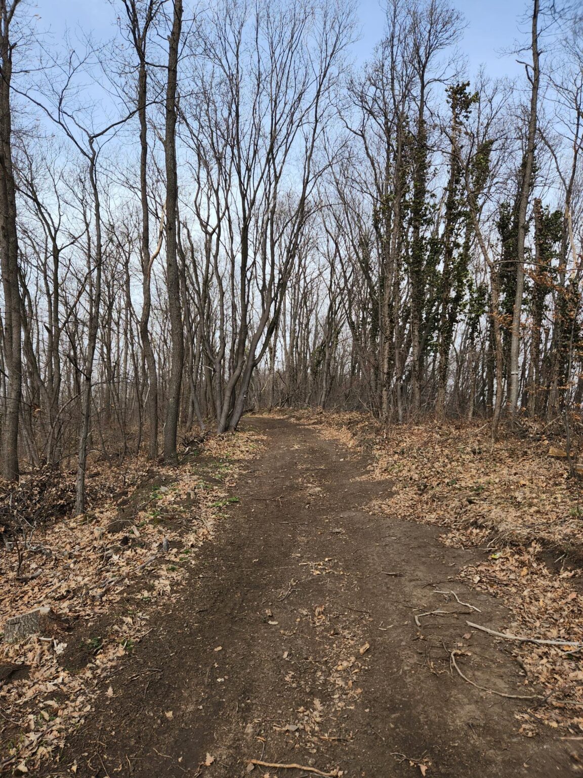 Esperanto Eco Trail to Bankya – A Half-Day Escape from Sofia