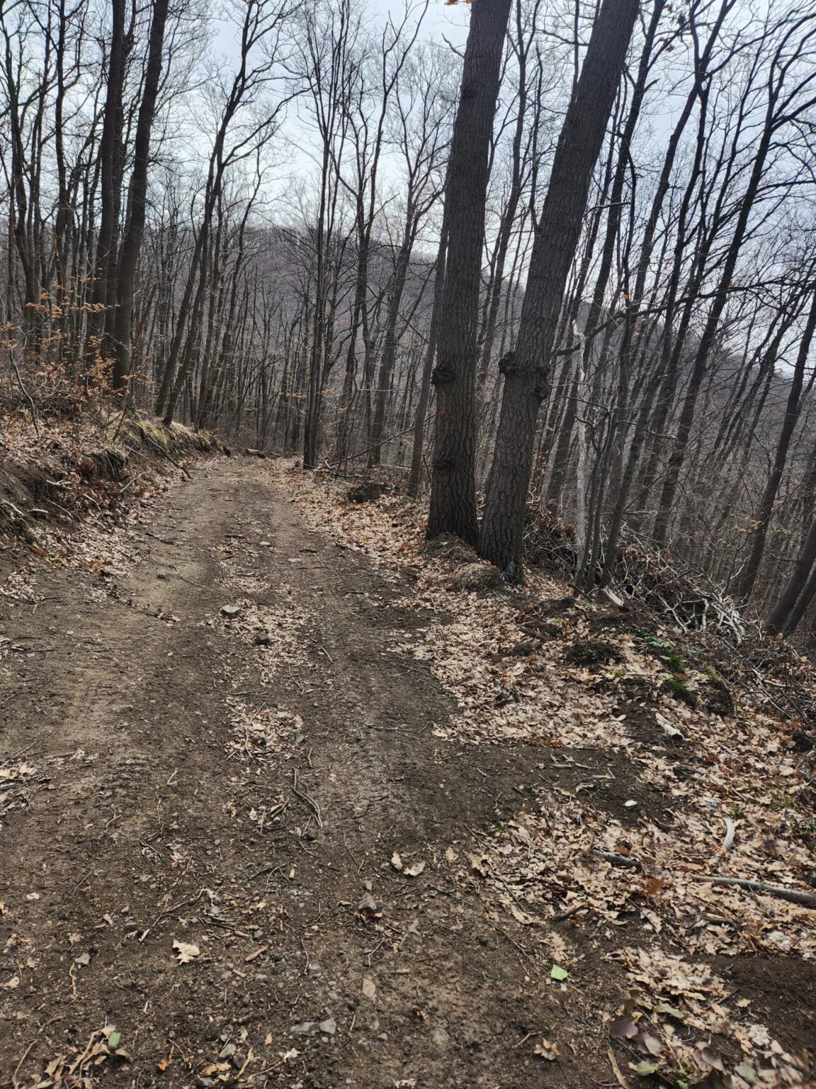 Esperanto Eco Trail to Bankya – A Half-Day Escape from Sofia