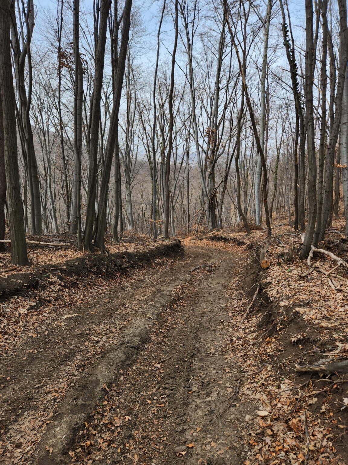 Esperanto Eco Trail to Bankya – A Half-Day Escape from Sofia