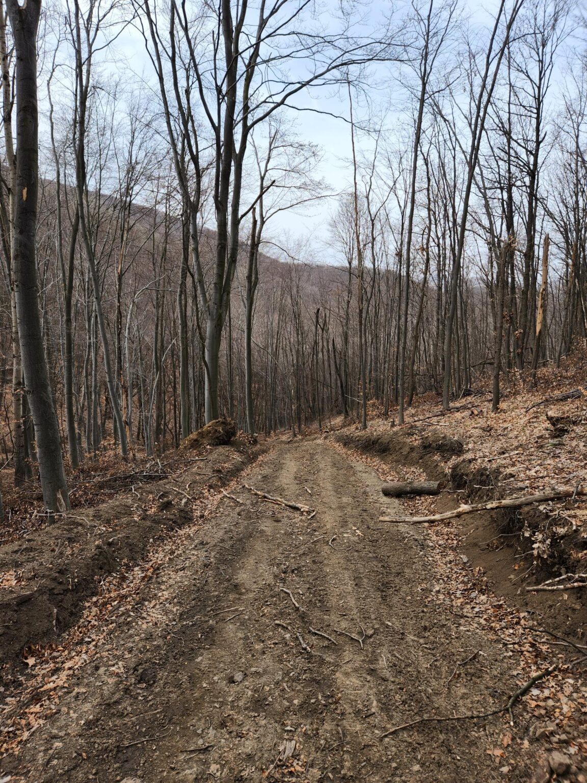 Esperanto Eco Trail to Bankya – A Half-Day Escape from Sofia