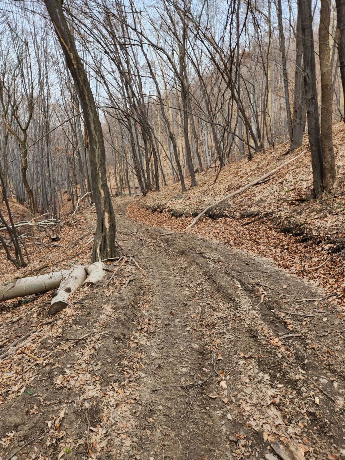 Esperanto Eco Trail to Bankya – A Half-Day Escape from Sofia