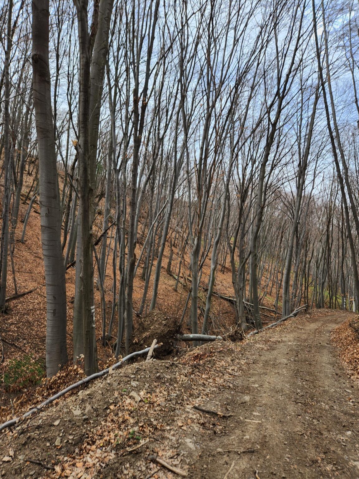 Esperanto Eco Trail to Bankya – A Half-Day Escape from Sofia