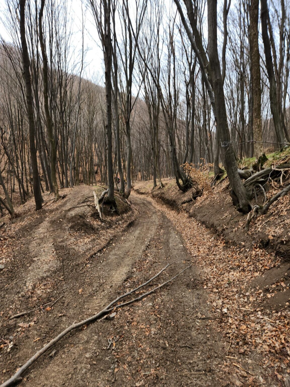 Esperanto Eco Trail to Bankya – A Half-Day Escape from Sofia