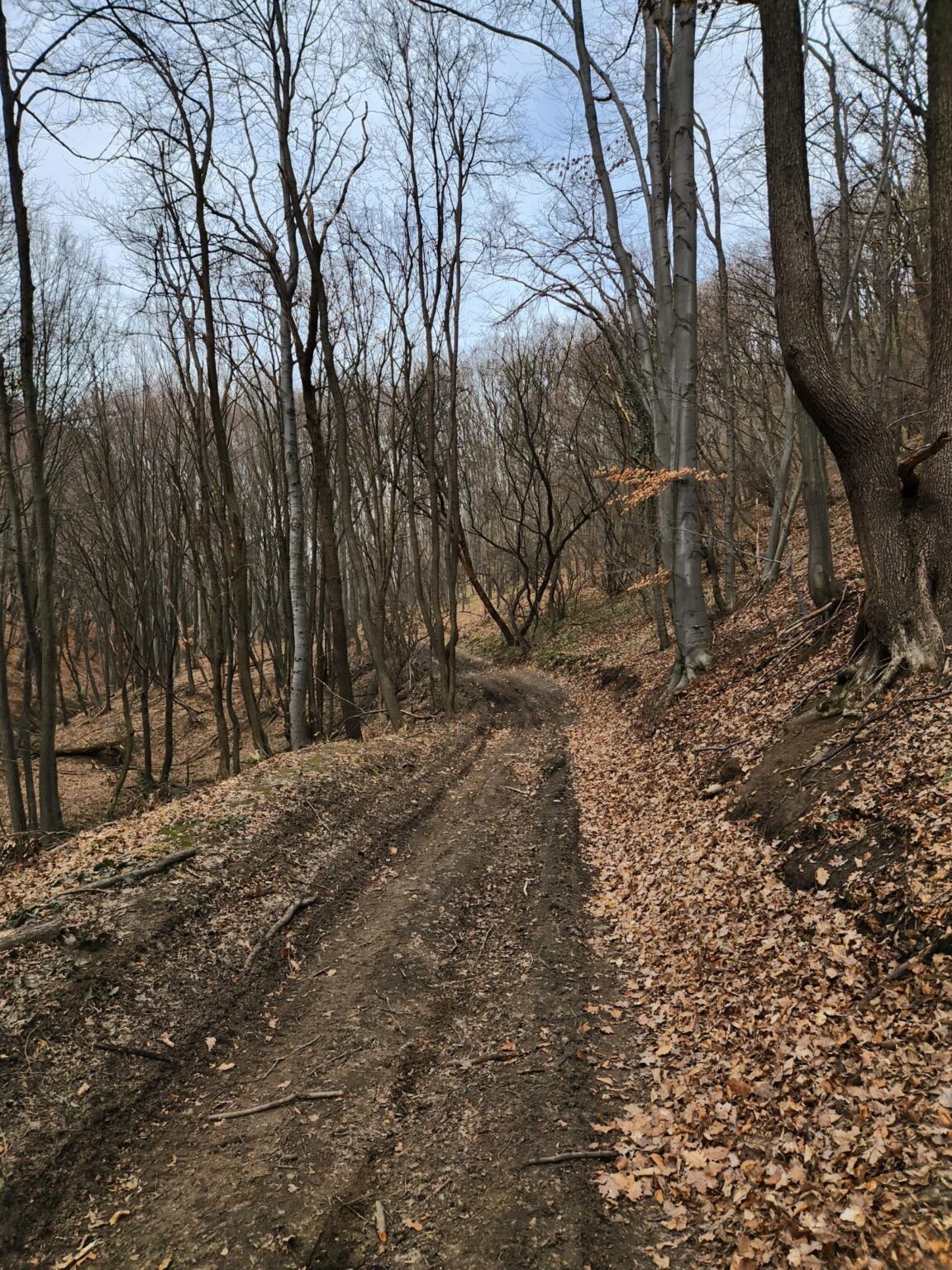 Esperanto Eco Trail to Bankya – A Half-Day Escape from Sofia