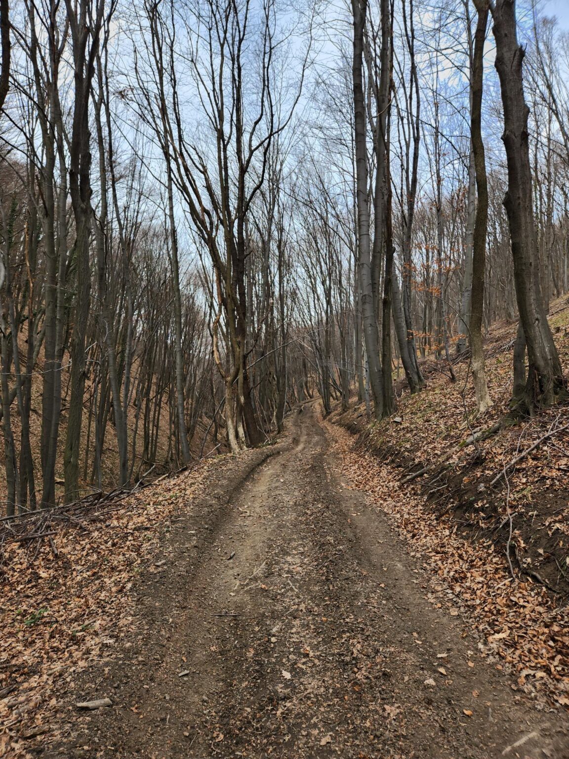 Esperanto Eco Trail to Bankya – A Half-Day Escape from Sofia