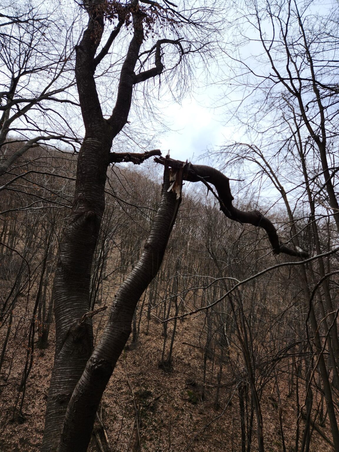 Esperanto Eco Trail to Bankya – A Half-Day Escape from Sofia