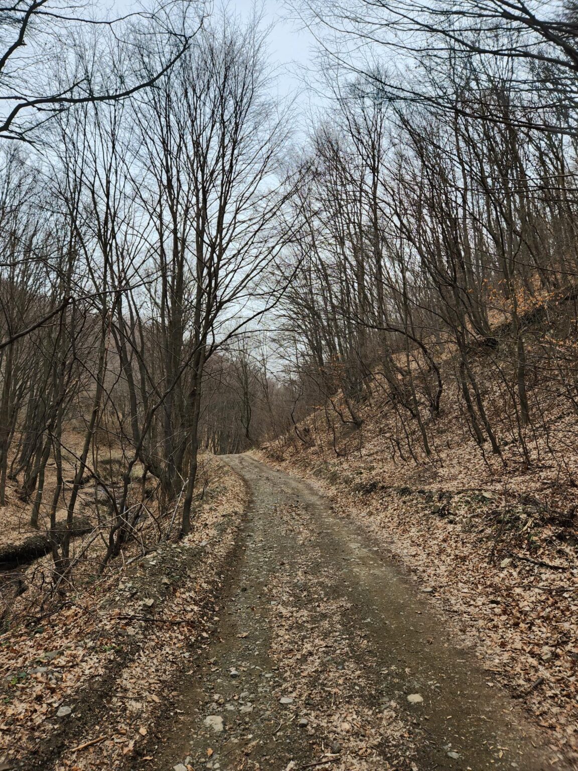 Esperanto Eco Trail to Bankya – A Half-Day Escape from Sofia
