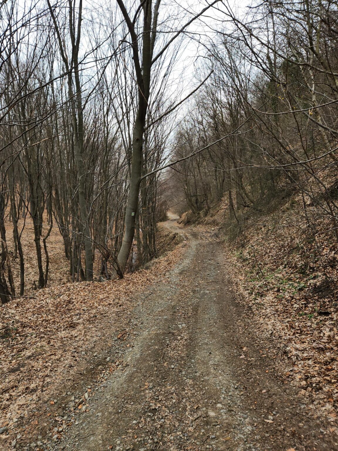 Esperanto Eco Trail to Bankya – A Half-Day Escape from Sofia