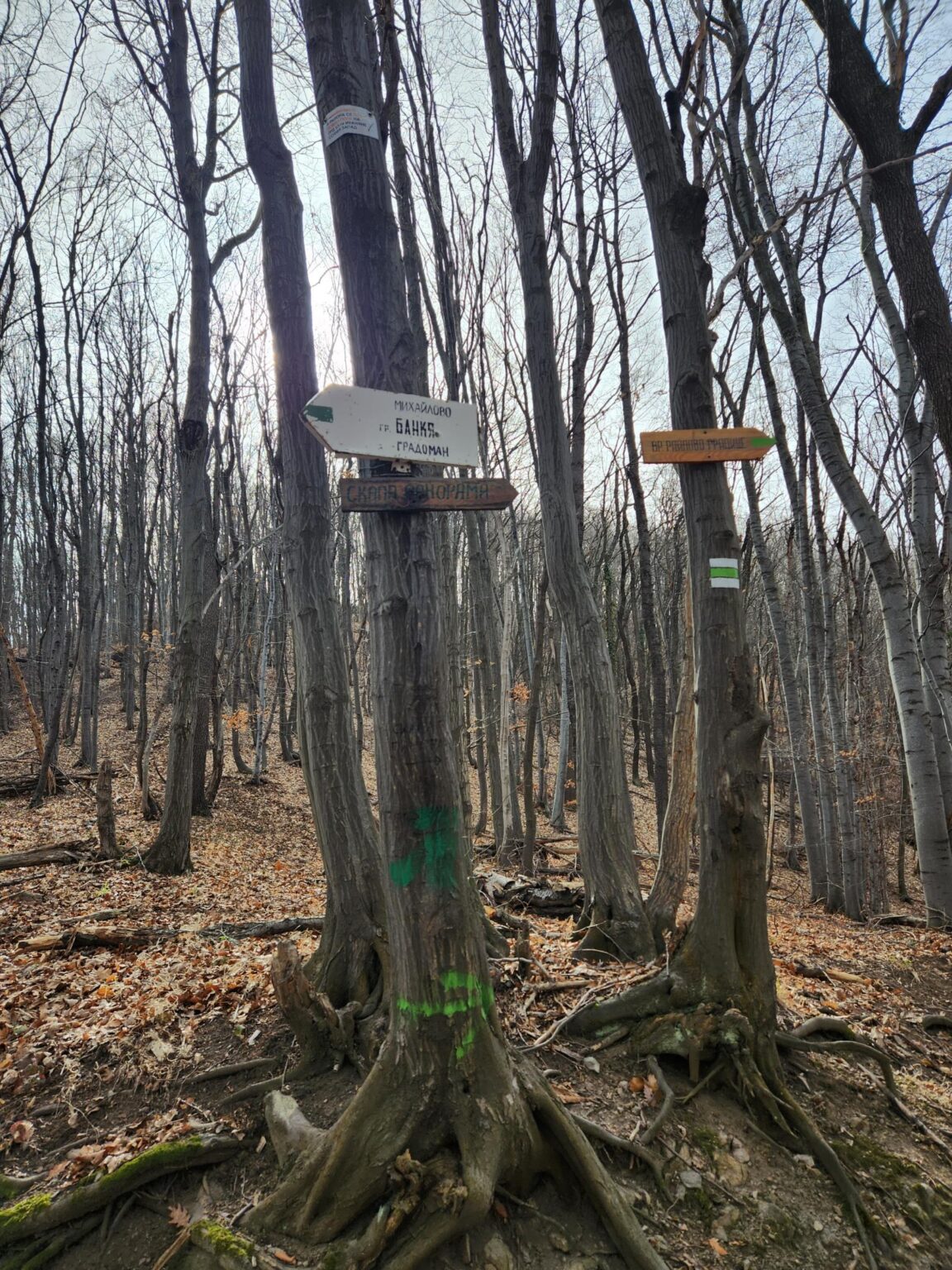 Esperanto Eco Trail to Bankya – A Half-Day Escape from Sofia
