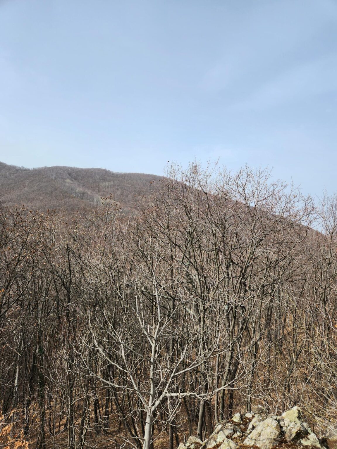 Esperanto Eco Trail to Bankya – A Half-Day Escape from Sofia