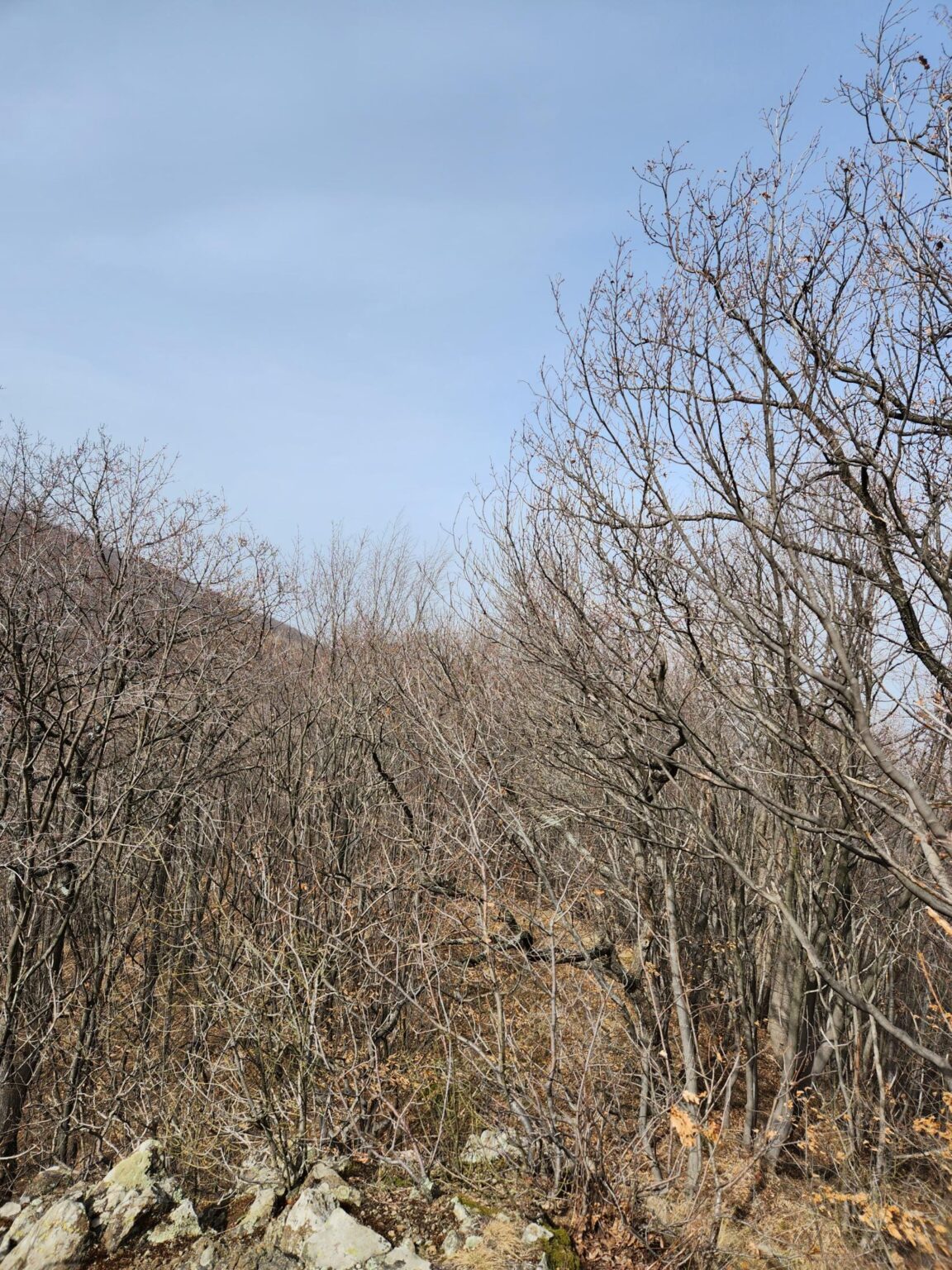 Esperanto Eco Trail to Bankya – A Half-Day Escape from Sofia
