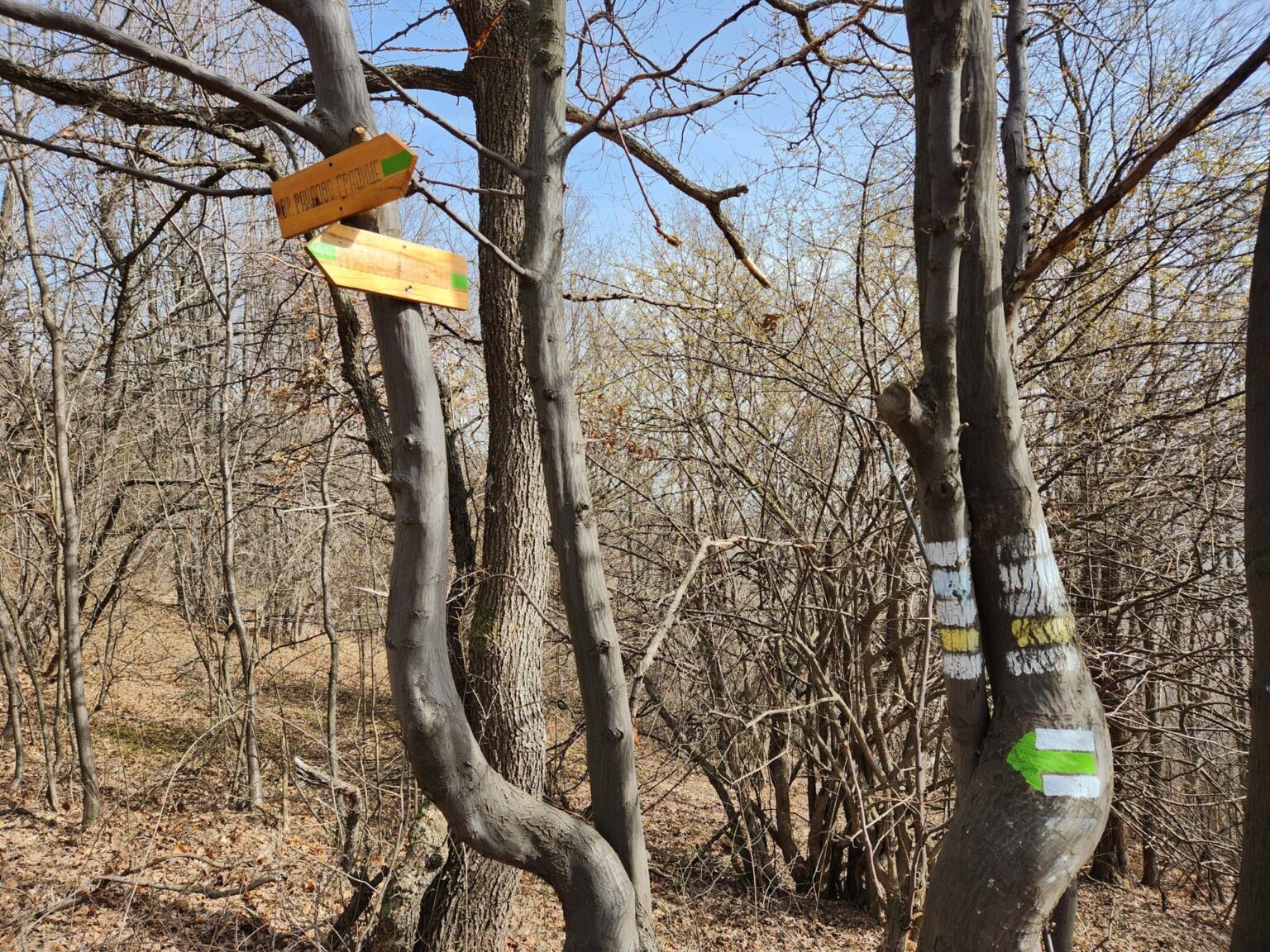 Esperanto Eco Trail to Bankya – A Half-Day Escape from Sofia