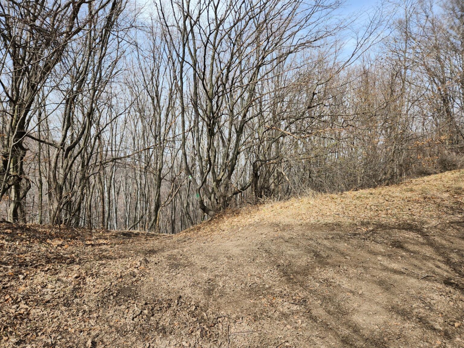 Esperanto Eco Trail to Bankya – A Half-Day Escape from Sofia