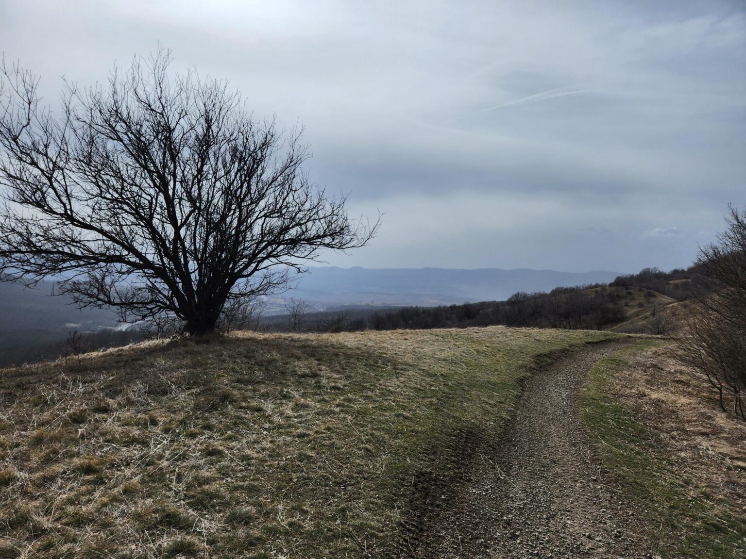 Esperanto Eco Trail to Bankya – A Half-Day Escape from Sofia