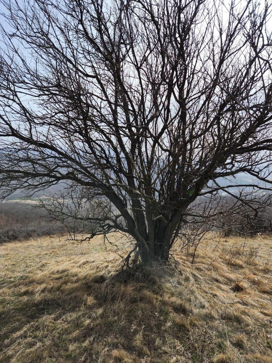 Esperanto Eco Trail to Bankya – A Half-Day Escape from Sofia