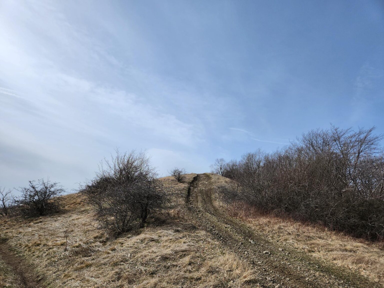 Esperanto Eco Trail to Bankya – A Half-Day Escape from Sofia