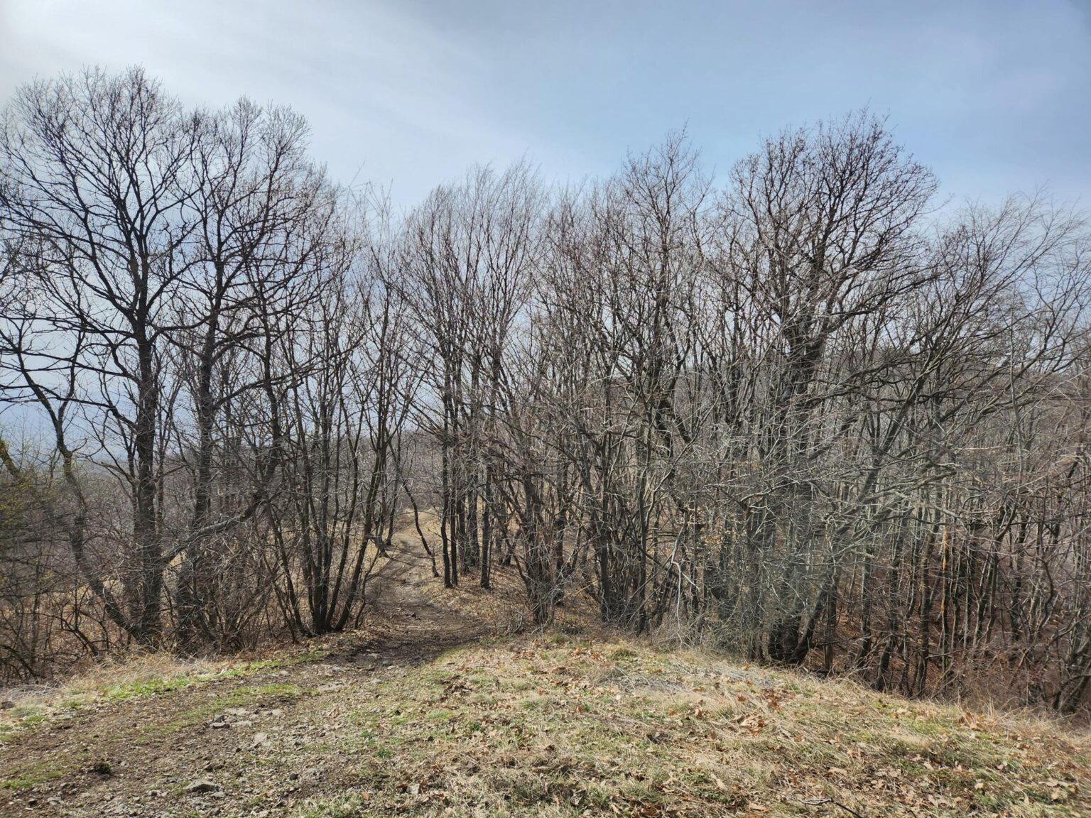 Esperanto Eco Trail to Bankya – A Half-Day Escape from Sofia
