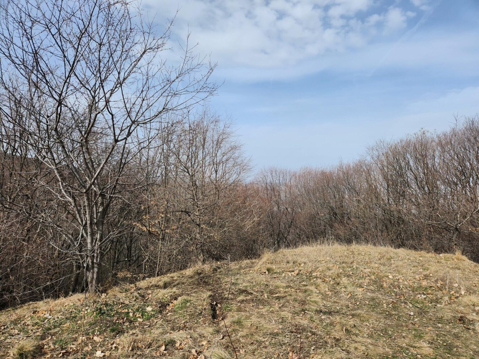 Esperanto Eco Trail to Bankya – A Half-Day Escape from Sofia