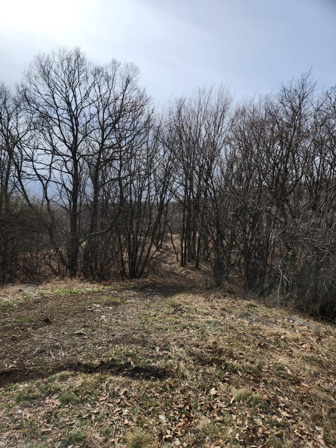 Esperanto Eco Trail to Bankya – A Half-Day Escape from Sofia