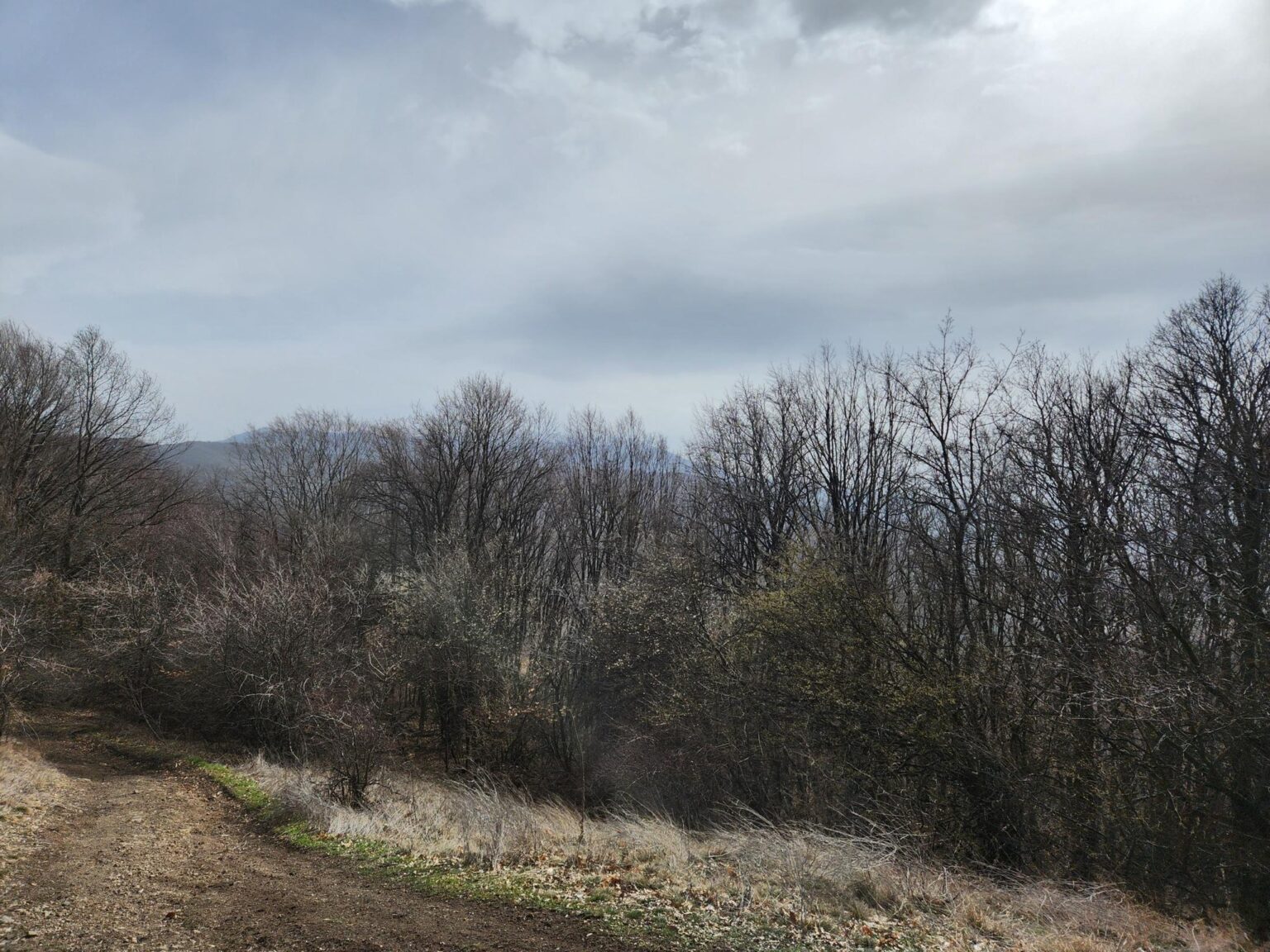 Esperanto Eco Trail to Bankya – A Half-Day Escape from Sofia