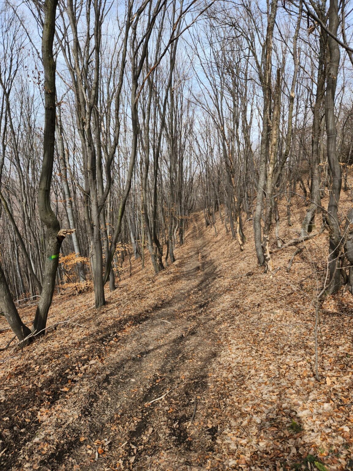 Esperanto Eco Trail to Bankya – A Half-Day Escape from Sofia