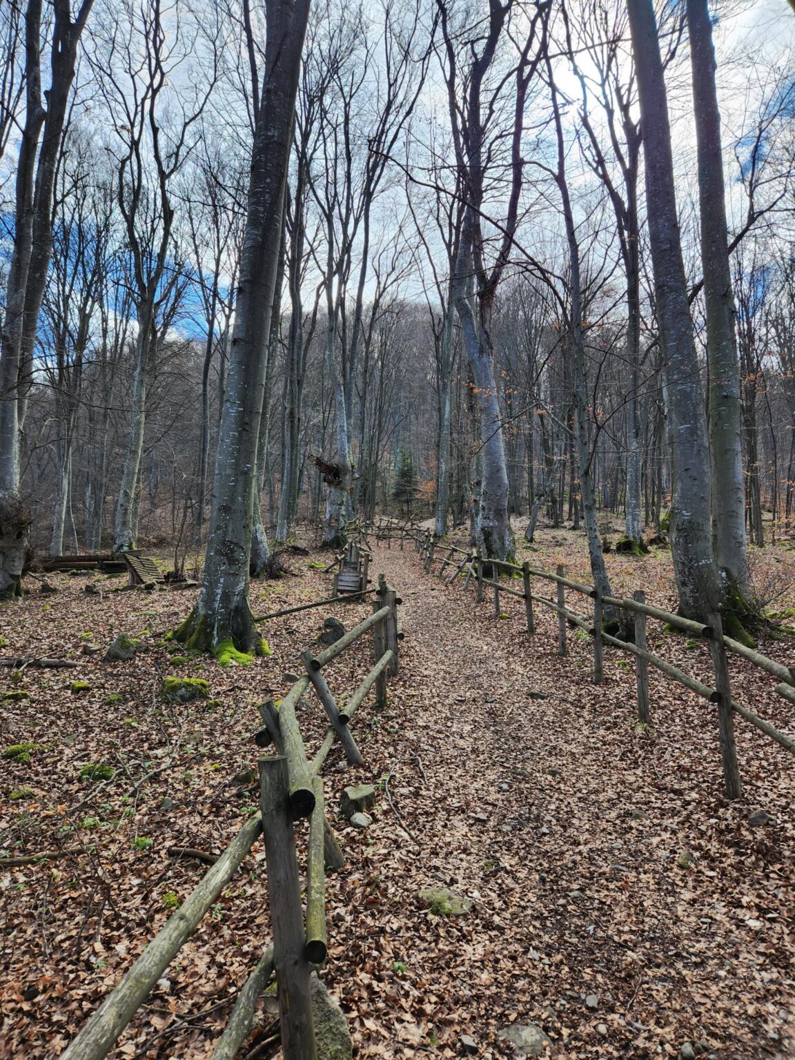Esperanto Eco Trail to Bankya – A Half-Day Escape from Sofia